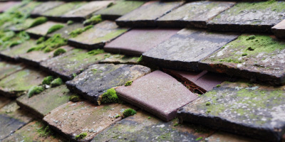 Llandaff North roof repair costs